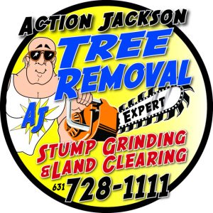 Action Jackson Penny Saver PC_2022